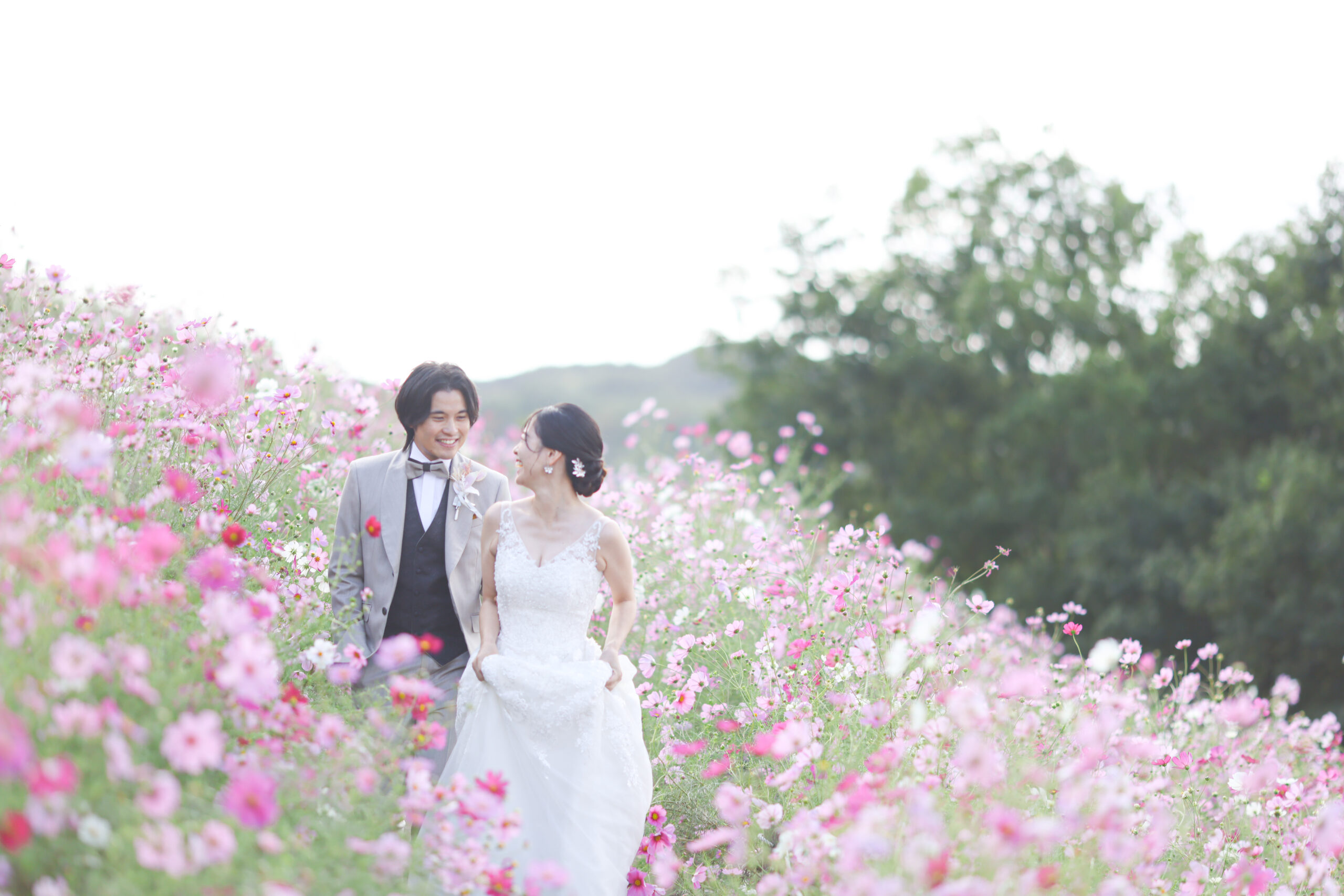 ドイツの森